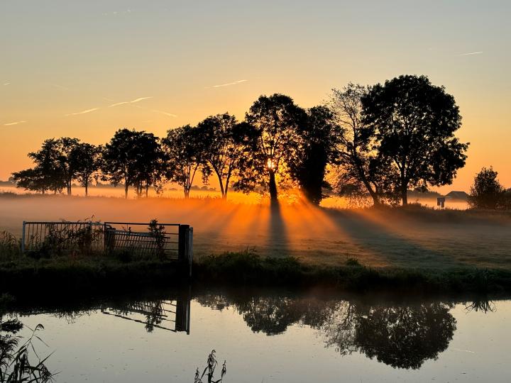 winnaar zomer2024